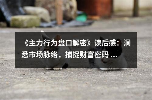 《主力行為盤口解密》讀后感：洞悉市場脈絡(luò)，捕捉財富密碼 (1250字)
