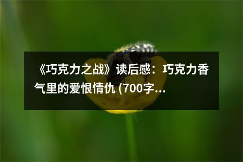 《巧克力之戰(zhàn)》讀后感：巧克力香氣里的愛恨情仇 (700字)