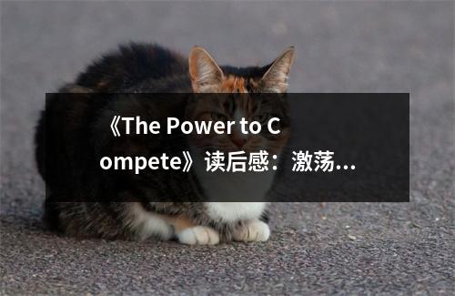 《The Power to Compete》讀后感：激蕩心靈的競爭智慧 (650字)