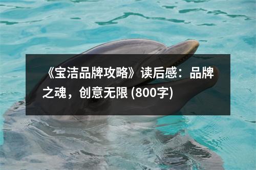 《寶潔品牌攻略》讀后感：品牌之魂，創(chuàng)意無限 (800字)