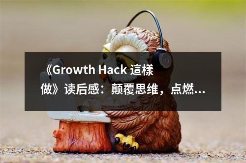 《Growth Hack 這樣做》讀后感：顛覆思維，點燃創(chuàng)業(yè)激情 (750字)