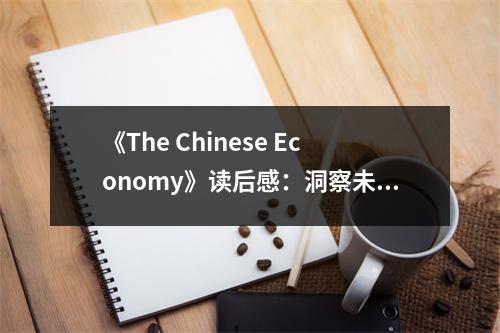 《The Chinese Economy》讀后感：洞察未來(lái)經(jīng)濟(jì)脈動(dòng) (800字)