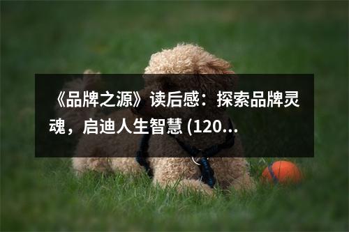 《品牌之源》讀后感：探索品牌靈魂，啟迪人生智慧 (1200字)