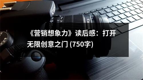 《營(yíng)銷想象力》讀后感：打開無限創(chuàng)意之門 (750字)