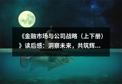 《金融市場與公司戰(zhàn)略（上下冊）》讀后感：洞察未來，共筑輝煌基石 (1000字)