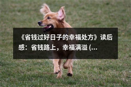 《省錢過好日子的幸福處方》讀后感：省錢路上，幸福滿溢 (750字)