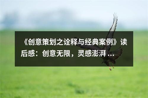 《創(chuàng)意策劃之詮釋與經(jīng)典案例》讀后感：創(chuàng)意無限，靈感澎湃 (850字)