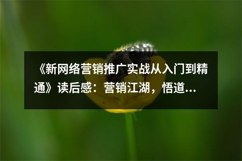 《新網(wǎng)絡(luò)營銷推廣實(shí)戰(zhàn)從入門到精通》讀后感：營銷江湖，悟道成長 (800字)