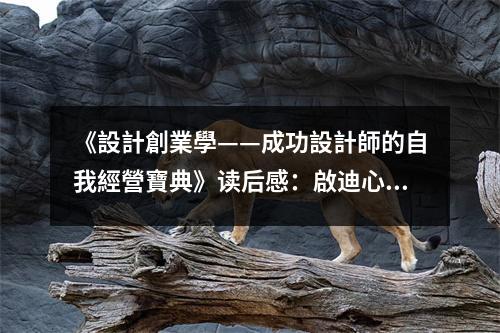 《設(shè)計(jì)創(chuàng)業(yè)學(xué)——成功設(shè)計(jì)師的自我經(jīng)營寶典》讀后感：啟迪心靈的創(chuàng)業(yè)之路 (850字)