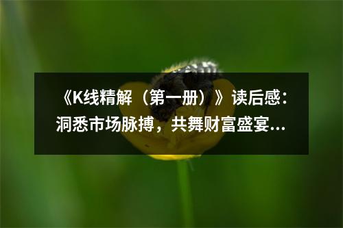 《K線精解（第一冊）》讀后感：洞悉市場脈搏，共舞財(cái)富盛宴 (850字)
