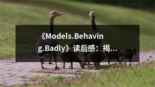 《Models.Behaving.Badly》讀后感：揭示模型黑暗面，令人深思 (850字)