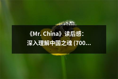 《Mr. China》讀后感：深入理解中國(guó)之魂 (700字)