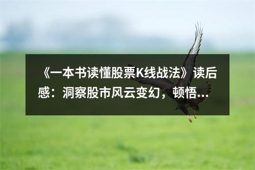 《一本書讀懂股票K線戰(zhàn)法》讀后感：洞察股市風(fēng)云變幻，頓悟人生百態(tài) (800字)
