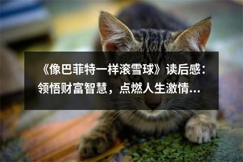 《像巴菲特一樣滾雪球》讀后感：領(lǐng)悟財(cái)富智慧，點(diǎn)燃人生激情 (850字)