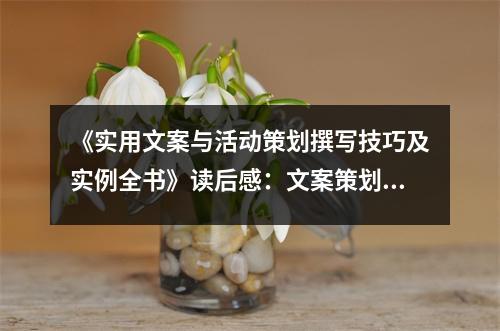 《實(shí)用文案與活動策劃撰寫技巧及實(shí)例全書》讀后感：文案策劃，創(chuàng)意無限 (900字)