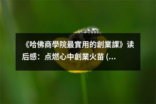 《哈佛商學(xué)院最實(shí)用的創(chuàng)業(yè)課》讀后感：點(diǎn)燃心中創(chuàng)業(yè)火苗 (1000字)