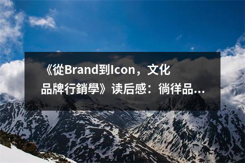 《從Brand到Icon，文化品牌行銷(xiāo)學(xué)》讀后感：徜徉品牌與文化交融的璀璨星河 (800字)