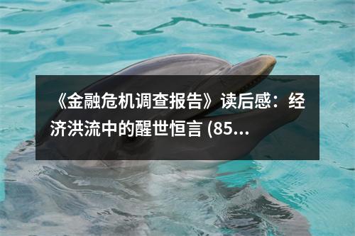 《金融危機調(diào)查報告》讀后感：經(jīng)濟洪流中的醒世恒言 (850字)