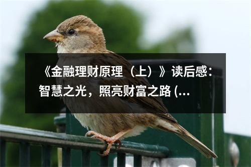 《金融理財(cái)原理（上）》讀后感：智慧之光，照亮財(cái)富之路 (700字)