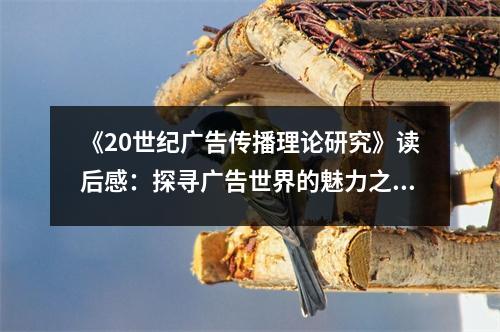 《20世紀(jì)廣告?zhèn)鞑ダ碚撗芯俊纷x后感：探尋廣告世界的魅力之光 (850字)
