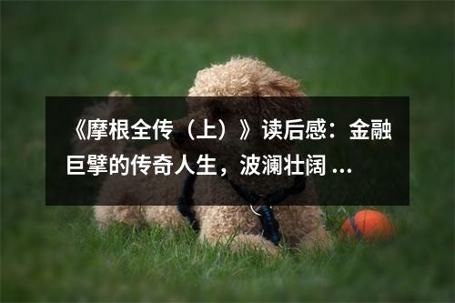 《摩根全傳（上）》讀后感：金融巨擘的傳奇人生，波瀾壯闊 (750字)