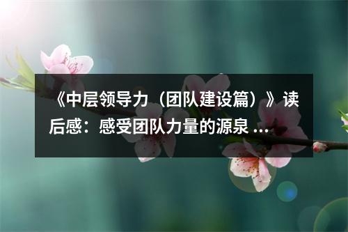 《中層領(lǐng)導(dǎo)力（團(tuán)隊(duì)建設(shè)篇）》讀后感：感受團(tuán)隊(duì)力量的源泉 (800字)