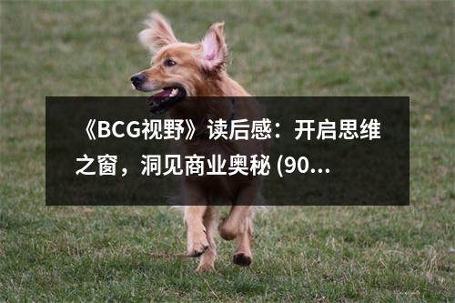 《BCG視野》讀后感：開啟思維之窗，洞見商業(yè)奧秘 (900字)