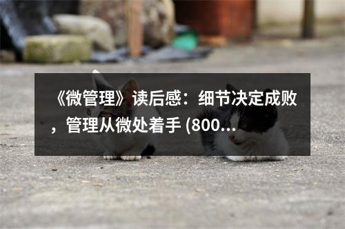 《微管理》讀后感：細(xì)節(jié)決定成敗，管理從微處著手 (800字)