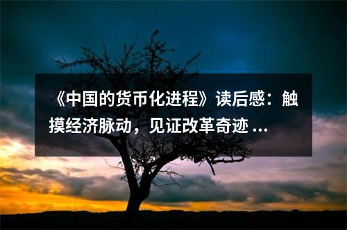 《中國的貨幣化進(jìn)程》讀后感：觸摸經(jīng)濟脈動，見證改革奇跡 (750字)