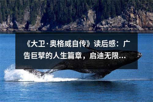 《大衛(wèi)·奧格威自傳》讀后感：廣告巨擘的人生篇章，啟迪無限靈感 (750字)