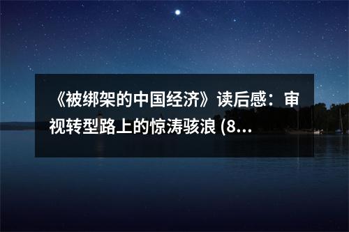 《被綁架的中國經濟》讀后感：審視轉型路上的驚濤駭浪 (800字)