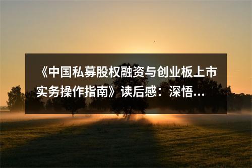 《中國私募股權(quán)融資與創(chuàng)業(yè)板上市實務(wù)操作指南》讀后感：深悟資本魅力 (700字)