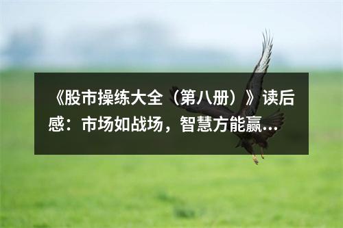 《股市操練大全（第八冊）》讀后感：市場如戰(zhàn)場，智慧方能贏 (850字)