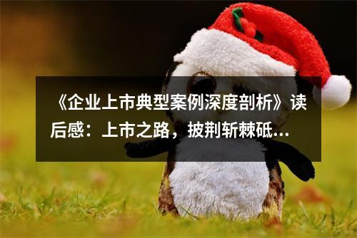 《企業(yè)上市典型案例深度剖析》讀后感：上市之路，披荊斬棘砥礪前行 (900字)