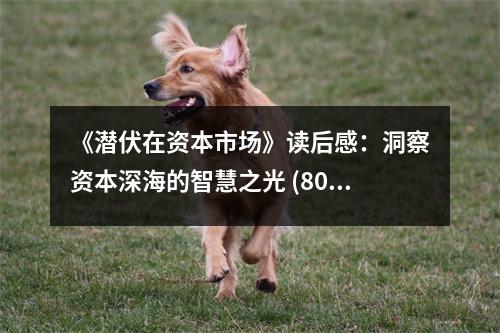 《潛伏在資本市場》讀后感：洞察資本深海的智慧之光 (800字)