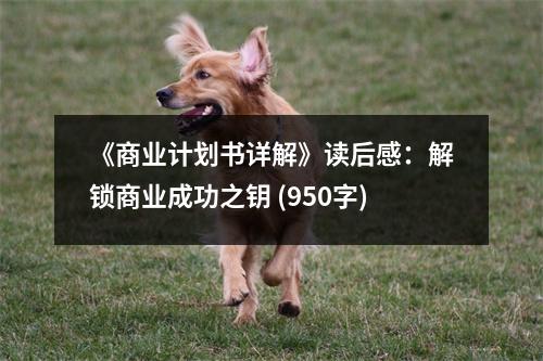 《商業(yè)計劃書詳解》讀后感：解鎖商業(yè)成功之鑰 (950字)