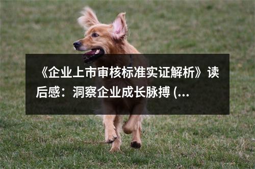 《企業(yè)上市審核標準實證解析》讀后感：洞察企業(yè)成長脈搏 (850字)