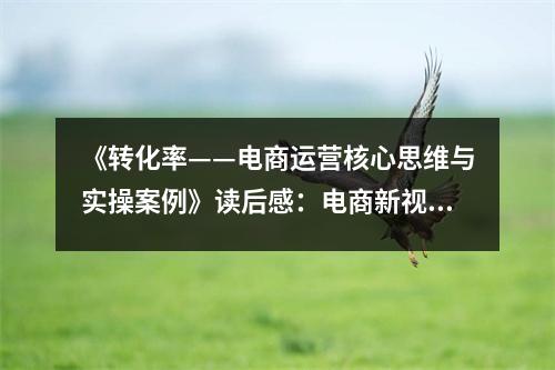 《轉化率——電商運營核心思維與實操案例》讀后感：電商新視角，轉化率揭秘心門開 (850字)