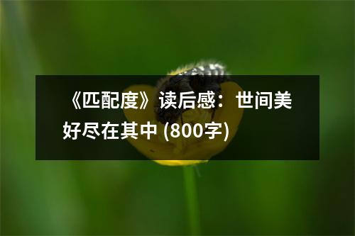 《匹配度》讀后感：世間美好盡在其中 (800字)