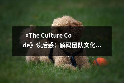 《The Culture Code》讀后感：解碼團隊文化精髓 (750字)