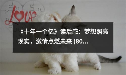 《十年一個億》讀后感：夢想照亮現(xiàn)實，激情點燃未來 (800字)
