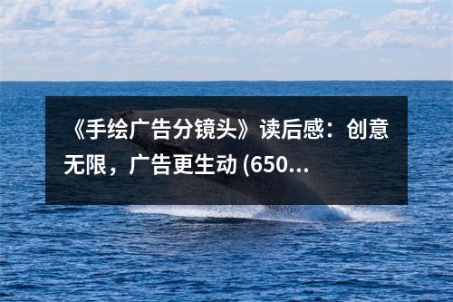 《手繪廣告分鏡頭》讀后感：創(chuàng)意無限，廣告更生動(dòng) (650字)