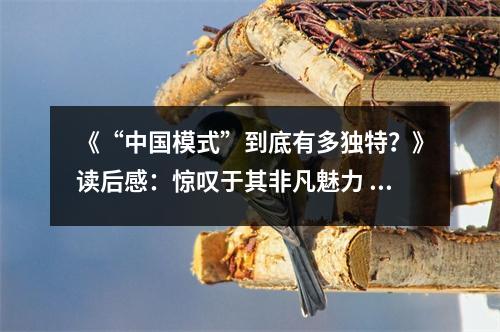 《“中國模式”到底有多獨特？》讀后感：驚嘆于其非凡魅力 (1100字)