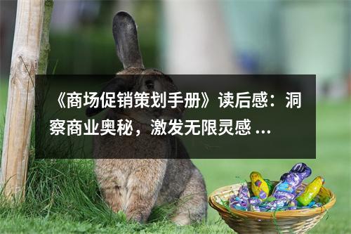 《商場促銷策劃手冊》讀后感：洞察商業(yè)奧秘，激發(fā)無限靈感 (700字)