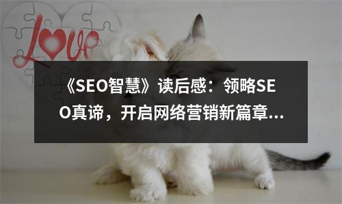 《SEO智慧》讀后感：領(lǐng)略SEO真諦，開(kāi)啟網(wǎng)絡(luò)營(yíng)銷(xiāo)新篇章 (800字)