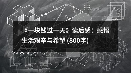 《一塊錢過一天》讀后感：感悟生活艱辛與希望 (800字)