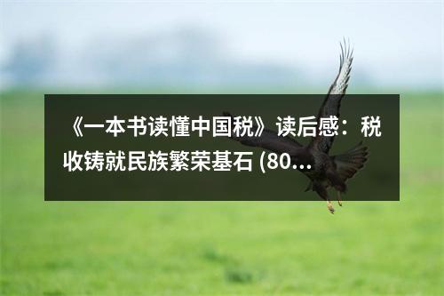 《一本書讀懂中國(guó)稅》讀后感：稅收鑄就民族繁榮基石 (800字)