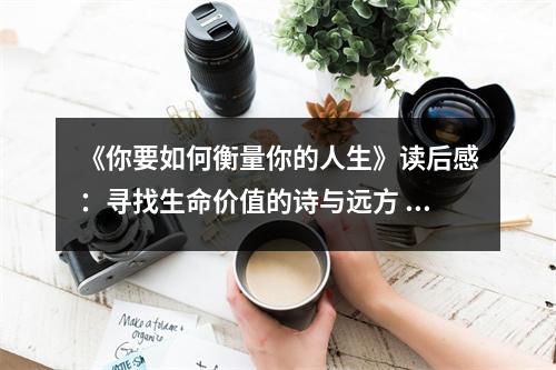 《你要如何衡量你的人生》讀后感：尋找生命價(jià)值的詩(shī)與遠(yuǎn)方 (850字)