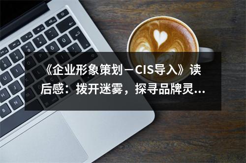 《企業(yè)形象策劃－CIS導(dǎo)入》讀后感：撥開迷霧，探尋品牌靈魂 (950字)