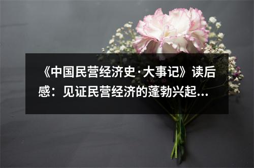《中國(guó)民營(yíng)經(jīng)濟(jì)史·大事記》讀后感：見證民營(yíng)經(jīng)濟(jì)的蓬勃興起 (950字)